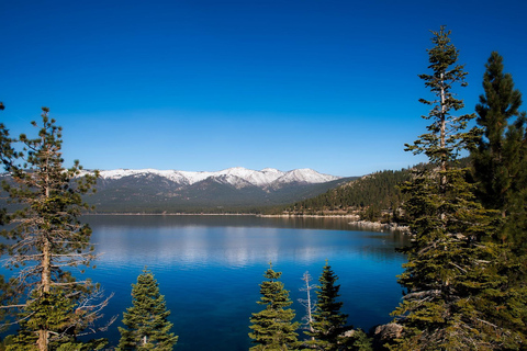 Prywatna wycieczka krajoznawcza nad jezioro Tahoe z codziennym kierowcą
