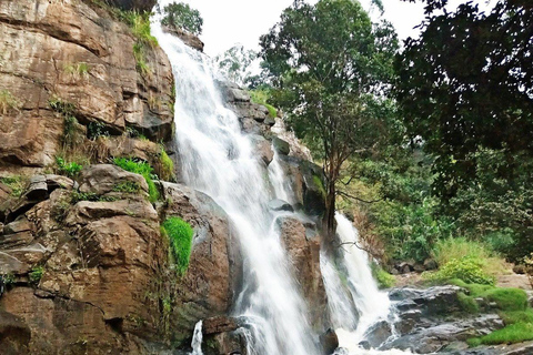 Lushoto: Soni Falls and Usambara Mountains Day Trip