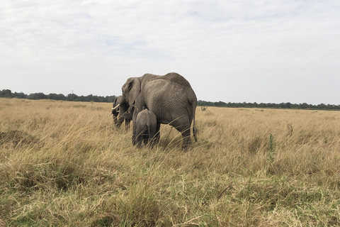 Viaggio di un giorno da Nairobi a Maasai Mara - AWNairobi: Escursione di un giorno nella Riserva Nazionale di Maasai Mara - Privato