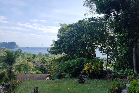 Private Tour Manuel Antonio Beach Club & Wildlife Day Trip