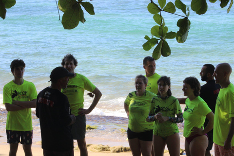 Rincon: Surf Lesson at Maria's Beach