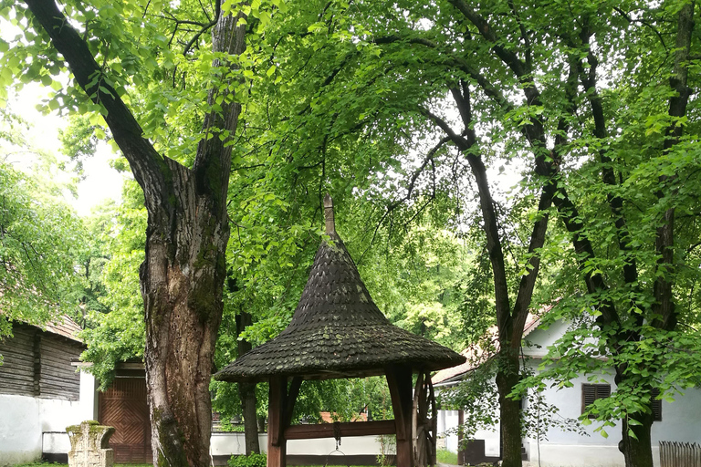 Panoramic tour of Bucharest with three stops and two visits.