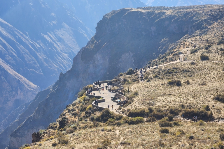 Arequipa: Ganztagestour zum Colca Canyon