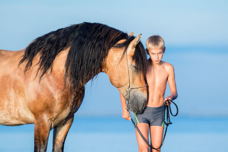 Soma Bay: Reittour mit HoteltransferSoma Bay: Reittour ohne Hoteltransfer