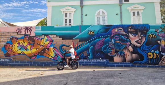 Willemstad: Guided E-Bike Street Art & Self-Guided tour