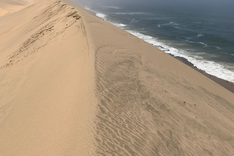 Walvis Bay: Pelican Point Seal and Sandwich Harbour Tour