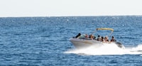 Sharm El Sheikh, Voyage en bateau à moteur privé à l'île de Tiran - Hizvo