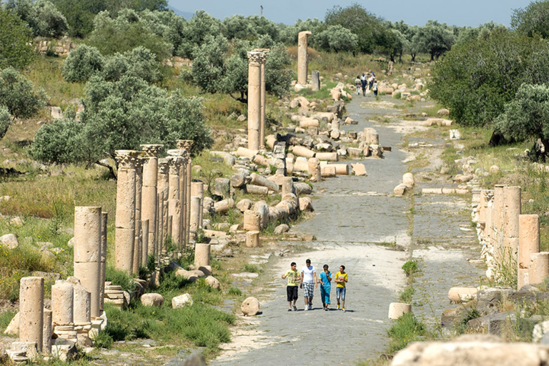 Amman: Umm Qais, Ajloun, and Jerash 2-Day Tour