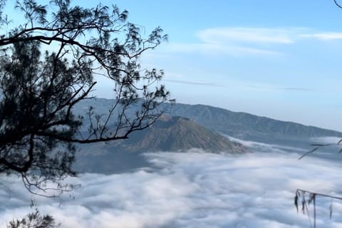 Bali: Mount Abang Sunrise Trek with Local Guide
