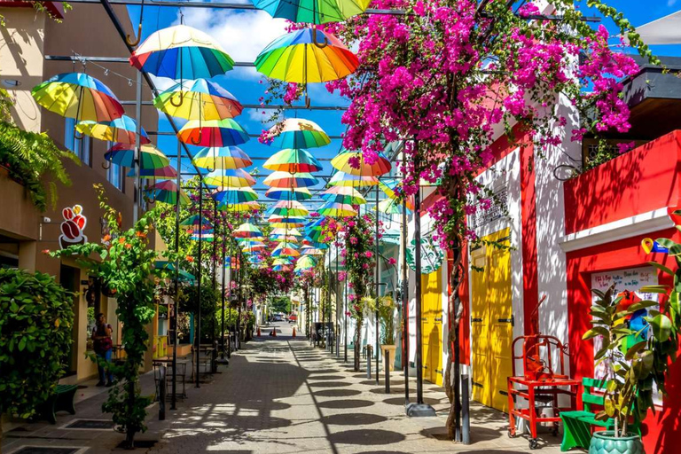 Puerto Plata: Amber Cove & Taino Bay City Tour