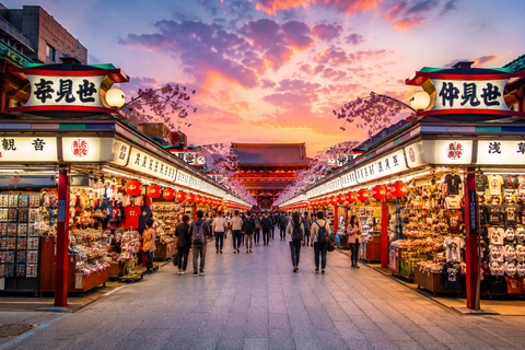 Tokyo Private Customizable City Highlights Guided Tour
