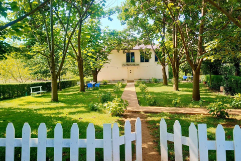 From Tirana/Durres: THINK GLOBAL, ACT AS A LOCAL