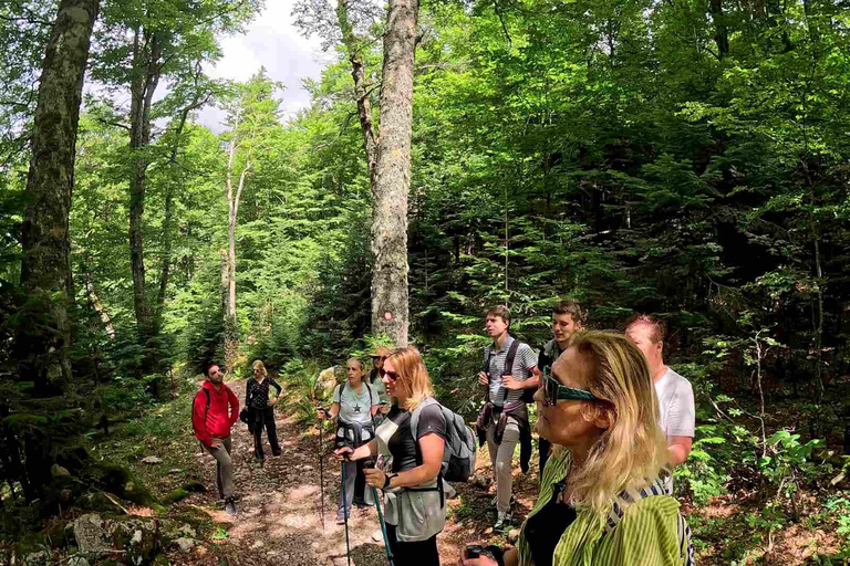 From Sarajevo: Trnovačko Lake Guided Hike with Transfer
