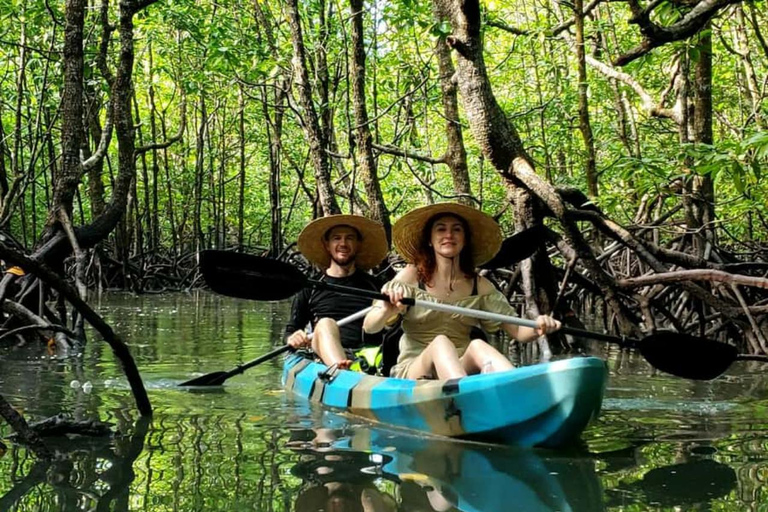 ZANZIBAR: Prison Island visit & Uzi Mangrove Kayak Tour PRIVATE TOUR INCLUDES HOTEL PICKUP AND DROP OFF