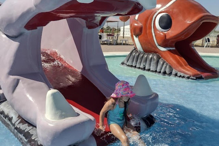 Lima: Ica Camel ride + Huacachina + "Adventure in the Desert" pool Lima: Ica Camel Ride + Huacachina + Swimming Pool "Adventure in the Desert"