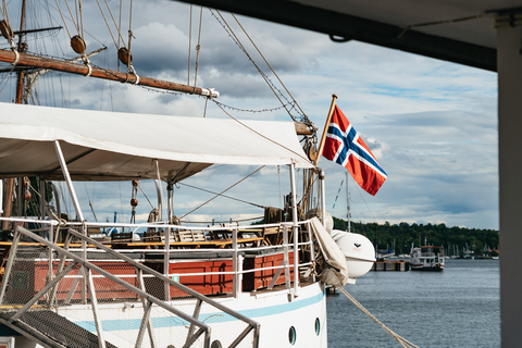 Oslo: Crucero nocturno por los fiordos con buffet de gambasOslo: tour a pie y fiordos en barco con bufé de gambas