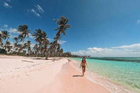 Bávaro: Passeio de lancha VIP pela Ilha Saona com Open BarExcursão VIP à Ilha Saona!