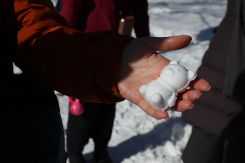 Sapporo Winter Culture: Snow, Temples & Local Food