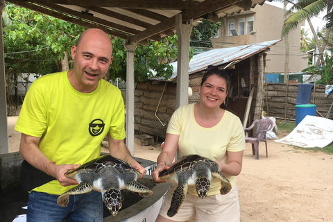 Colombo: Dagtrip van Colombo naar Galle en Bentota