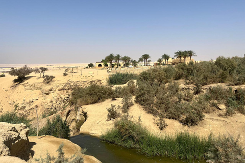 From Cairo: 4x4 Desert Safari, Waterfalls & Magic Lake Shared Tour: Wadi El Rayan, Magic Lake & Lake Qarun, Jeep