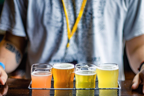 Houston: Sip of The Heights Craft Beer Tour