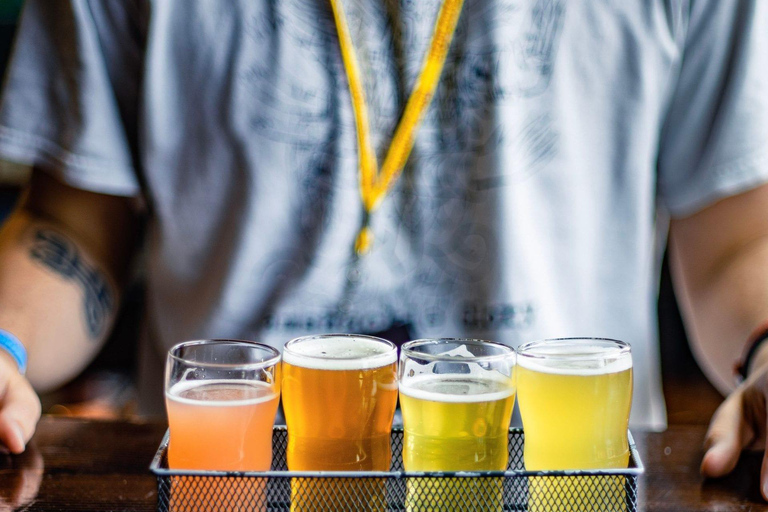Houston: Sip of The Heights Craft Beer Tour