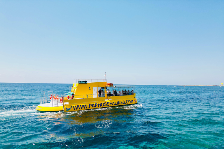 Paphos : Croisière de 2 heures avec observation des tortues et boissons