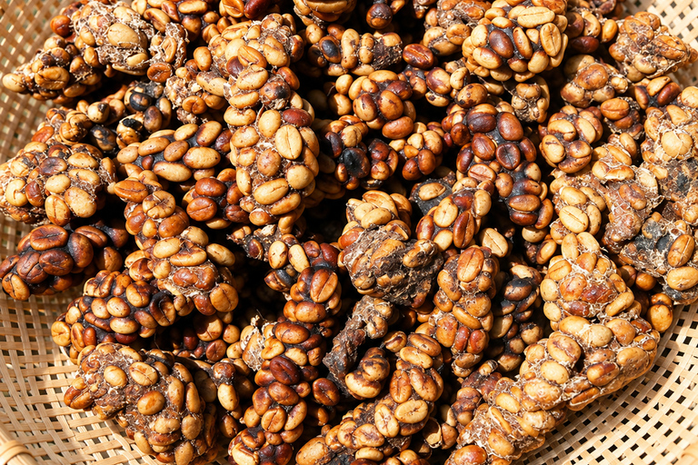 Da Lat: Coffee Plantation & Datanla Alpine Coaster Tour