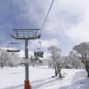 Snowy Mountains: 1-Day Snow Adventure at Thredbo From Sydney Snowy Mountains: 1-Day Snow Adventure at Thredbo From Sydney