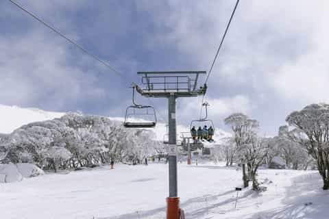 Snowy Mountains: 1-Day Snow Adventure at Thredbo From Sydney - Image 3