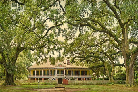 New Orleans: Laura Plantation and Airboat Tour Large Airboat with Up to 18 passengers