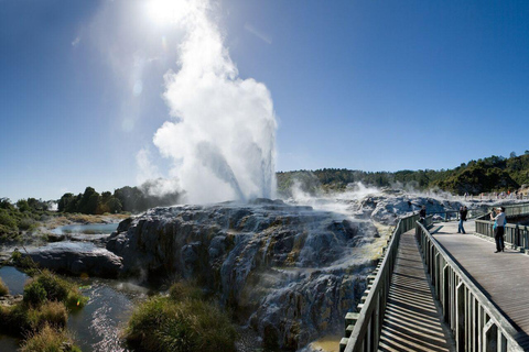 From Auckland: Day trip to Te Puia & Waitomo Caves