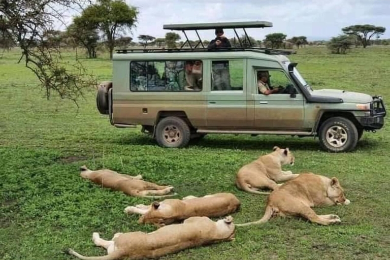 3 days Serengeti & Ngorongoro Crater 3 Days Midrange lodge Safari