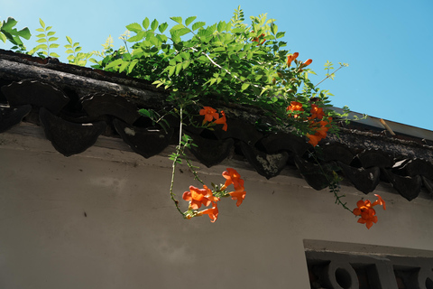 Old Shanghai: Yu Garden, Mosque and City Wall Walking Tour