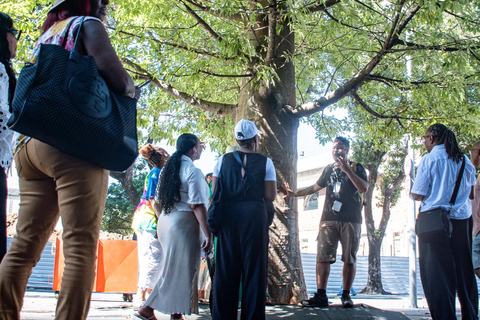 Little Africa: Explore Afro-Brazilian History Hotel Pickup and Drop-Off