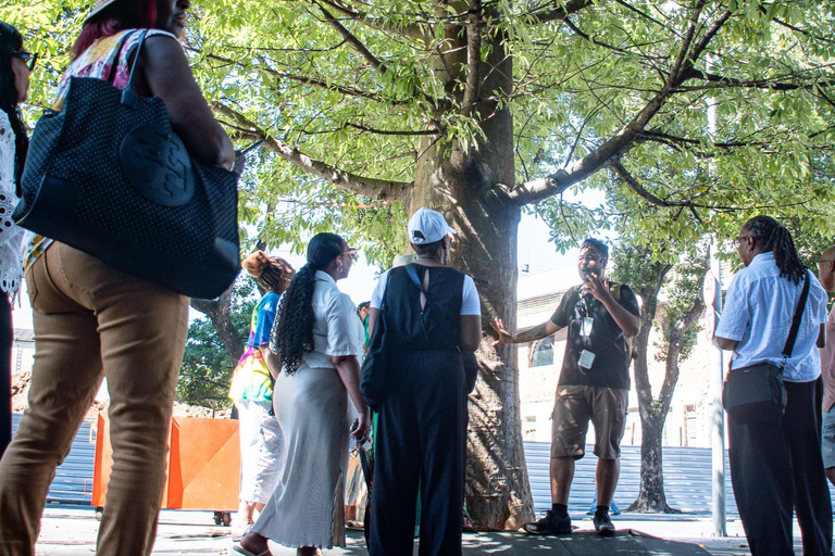 Little Africa: Explore Afro-Brazilian History Hotel Pickup and Drop-Off