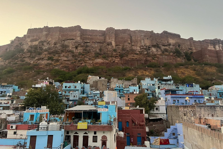 Jaipur: Private Guided Tour with Local Family Meal