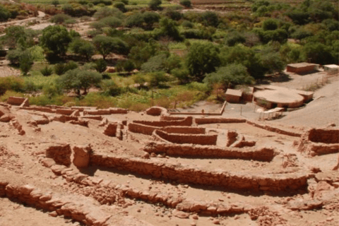 Desde Lima: Experiencia Privada CaralExperiencia privada en Caral