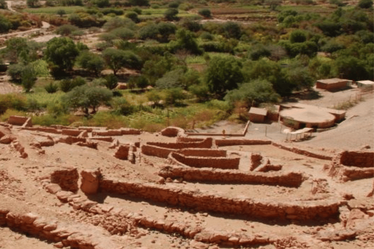 Desde Lima: Experiencia Privada CaralExperiencia privada en Caral