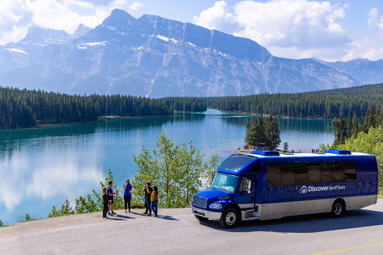 Banff: Wildlife and Sightseeing Minibus TourSummer Tour