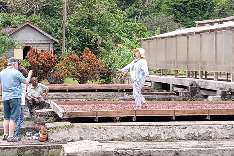 Explorez la magie de la Grenade : visite privée de l&#039;île aux épices