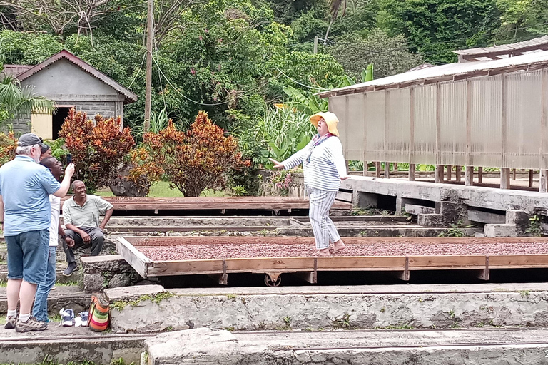 Esplora la magia di Grenada: tour privato dell&#039;isola delle spezie