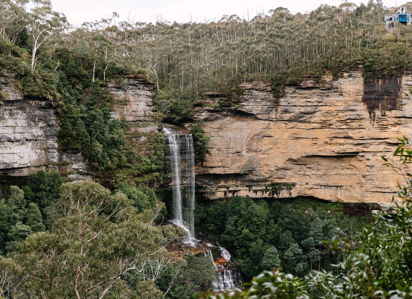 Sydney: Blue Mountains Scenic World, dyrepark og frokost