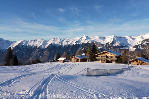 Interlaken: All-inclusive-Skierlebnis für AnfängerInterlaken: All-inclusive-Skierlebnis für Anfänger mit Privatlehrer