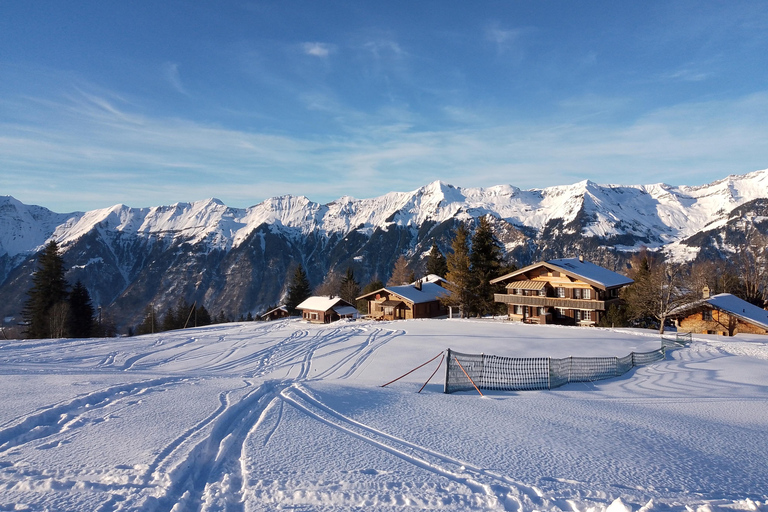 Interlaken: All-inclusive-Skierlebnis für AnfängerInterlaken: All-inclusive-Skierlebnis für Anfänger mit Privatlehrer
