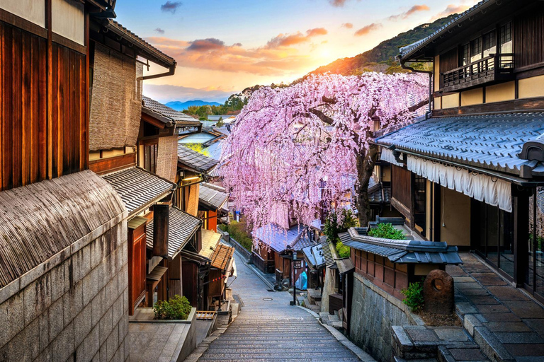 Da Osaka:Tour privato di Kyoto e Nara (autista parlante inglese)Kyoto: Tour panoramico privato con autista che parla inglese