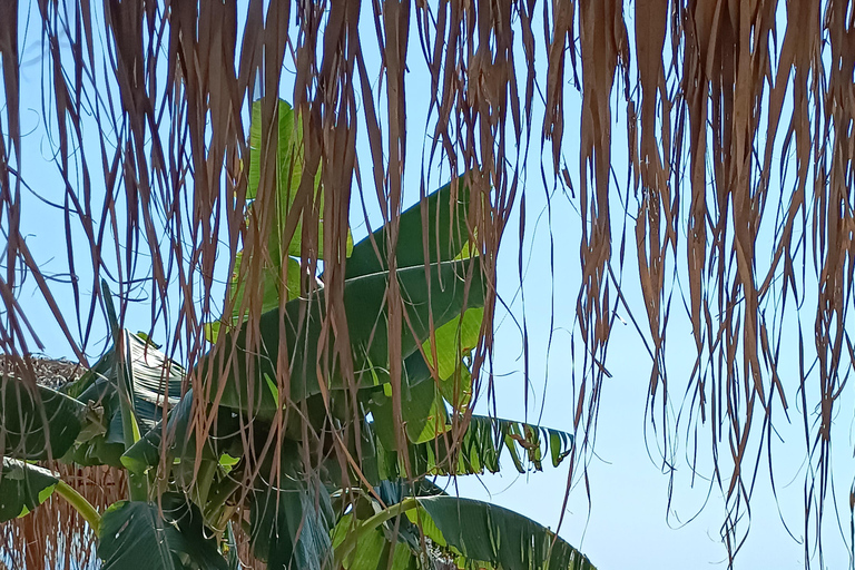 Thessaloniki: Halkidiki Beach-Hopping with Swimming