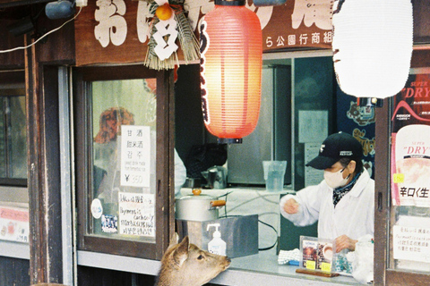 Nara: Deer, Photos, and Japanese Tea Social Experience