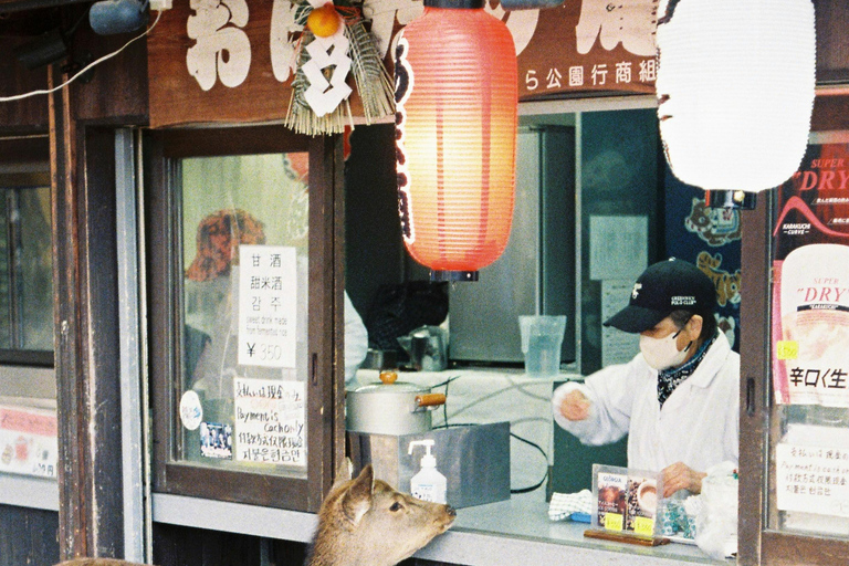 Nara: Deer, Photos, and Japanese Tea Social Experience