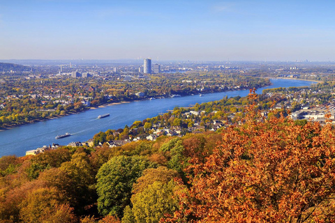 Bonn: Zimowy rejs wycieczkowy łodzią z grzanym winem